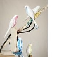EXPOSITION DU FRAC