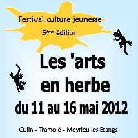 Festival Les Arts en Herbe